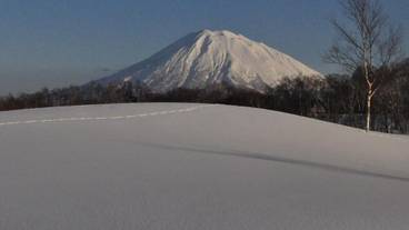 スノー スポーツとスキー / 6