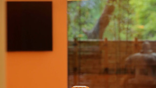 デザイン ヴィラ