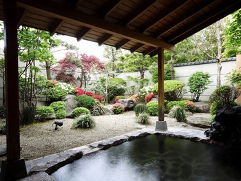 透明な”朝獲れイカ”のお刺身に舌鼓♡函館名物を存分に楽しめて大満足4255715