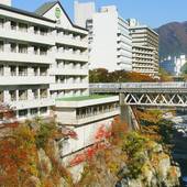 鬼怒川温泉 一心舘(栃木県 旅館) / 5