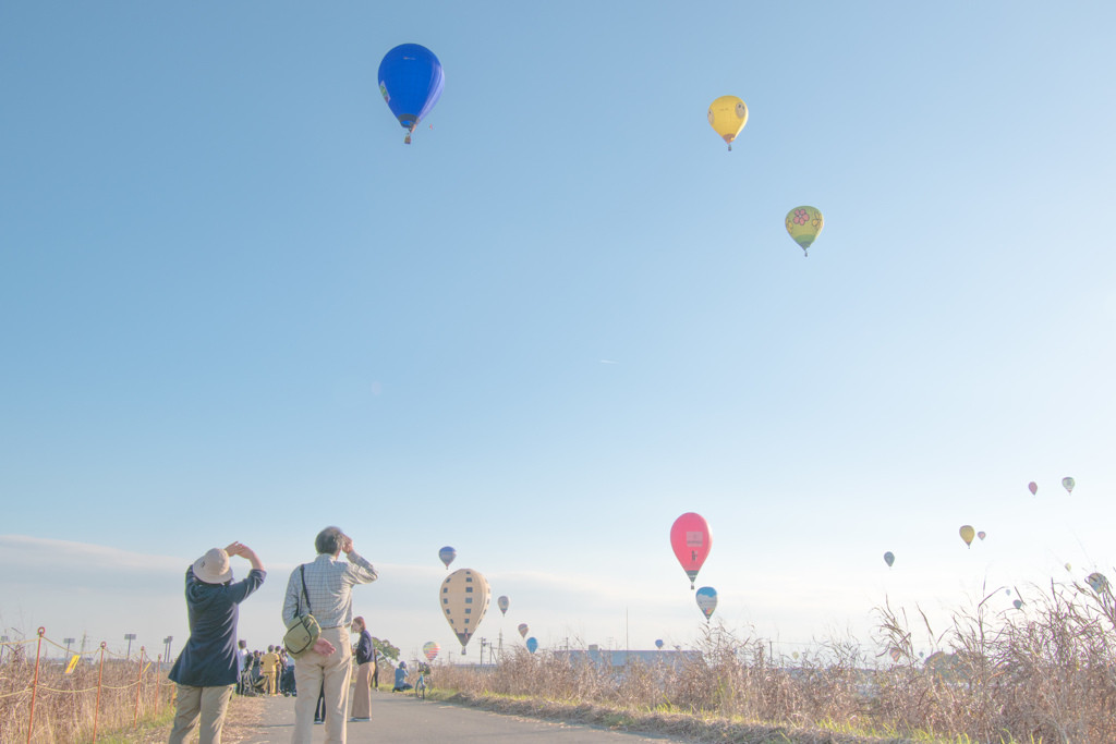佐賀の焼き物や自然、グルメを女子一人旅でじっくり堪能3506932