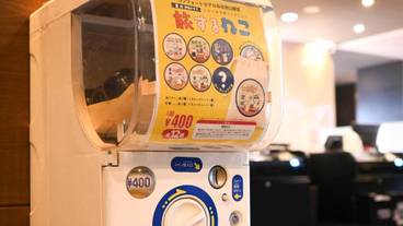 施設内の設備 / 8