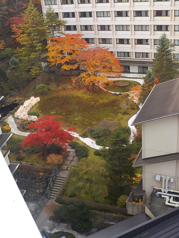 部屋から見えた紅葉の綺麗な内庭です。