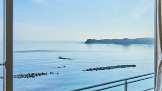 和洋室 (約45平米) 喫煙可/ 素泊まり