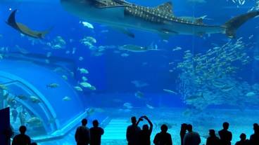 観光スポット / 13