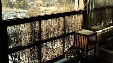 バルコニー / 11