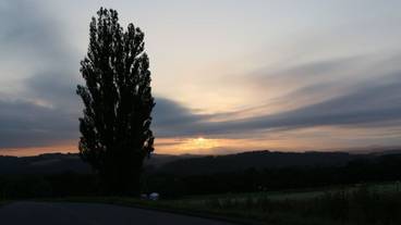 施設からの眺望 / 14