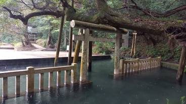 観光スポット / 3