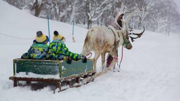 スノー スポーツとスキー / 1