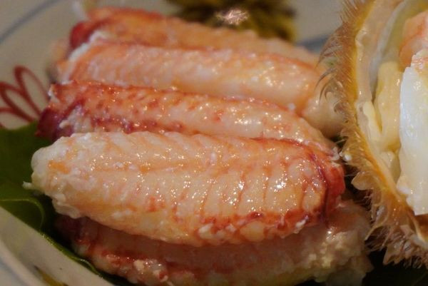 ranunculus___________さんの写真 / 3