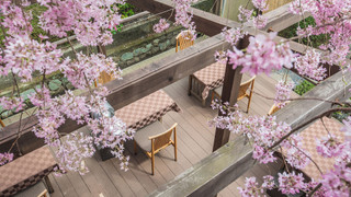 エコノミールーム 禁煙 別館