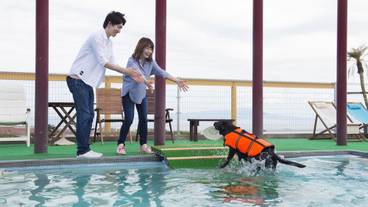 ペット用設備・サービス / 1