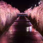 【天童温泉】意外と近い!山形の名湯でカップル温泉旅。おすすめ旅館8選