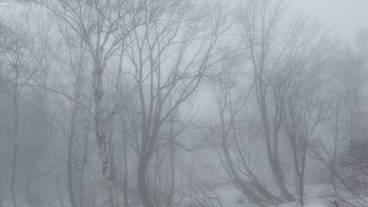 ランド ビュー / 4