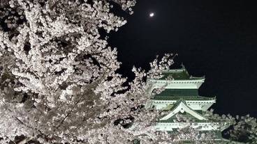 観光スポット / 15