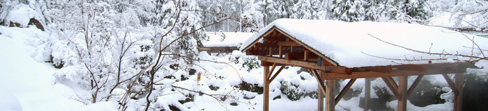 雪見露天風呂のある新潟県の旅館で、贅沢な温泉時間を。銀世界の情緒を楽しめるおすすめの宿7選