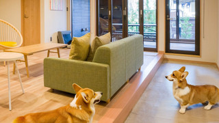 Rakuten STAY VILLA 那須 / [ペット同室可] 4名定員 禁煙
