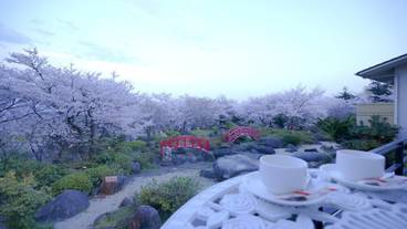 テラス / パティオ / 13