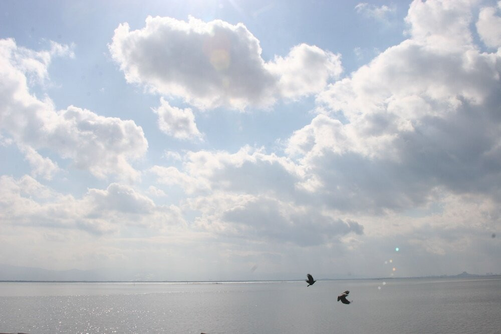 施設からの眺望