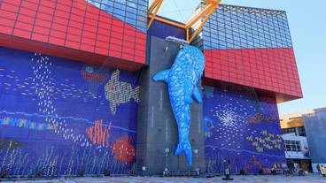 観光スポット / 12