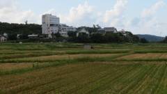 寺泊岬温泉 ホテル飛鳥