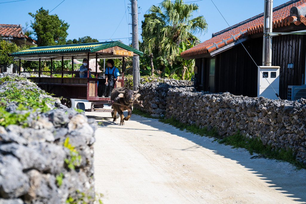 竹富島でスローな時間に癒されたい♡3552596