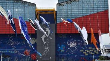 観光スポット / 7