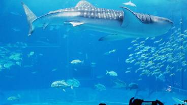 観光スポット / 3