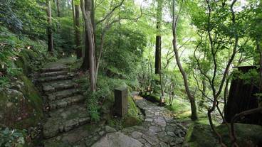 高低差のある庭園 / 4