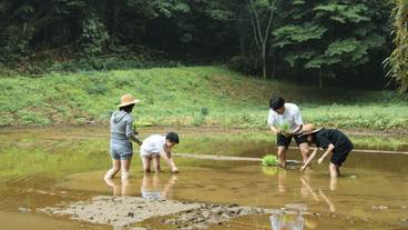 子供向けアクティビティ / 16