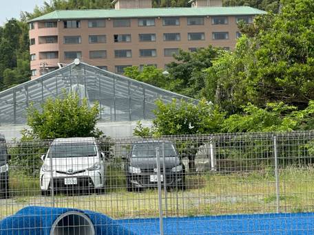 浜名湖わんわんパラダイスホテル / 1