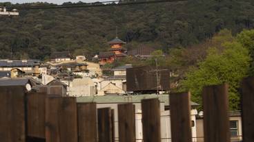 施設からの眺望 / 12