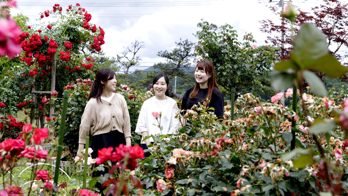 初夏にはバラが咲き誇る庭園3749016