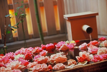 山形の自然を眺める、バラ特産地の甘いお風呂3643584