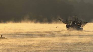 施設からの眺望 / 10