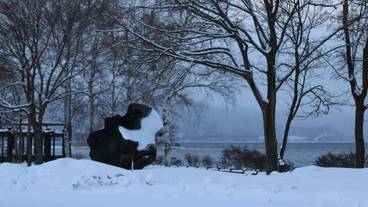 ハイキング / 15