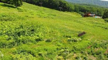 施設からの眺望 / 13