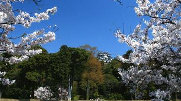 施設からの眺望 / 18