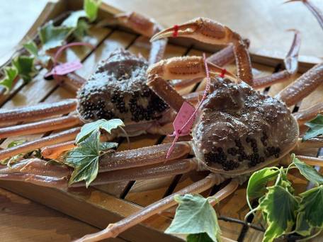 城崎 円山川温泉 銀花 / 4