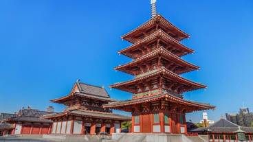 子供用の遊び場 - 屋外 / 14