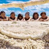 ゲストハウスえみっくす石垣島（沖縄県 ゲストハウス・ホステル・ドミトリー） / 5