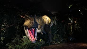 施設の敷地 / 16