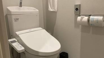 客室トイレ一例 / 10