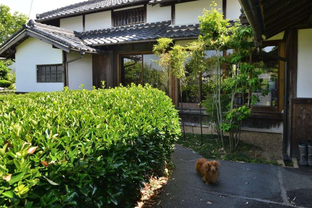 メイン イメージ