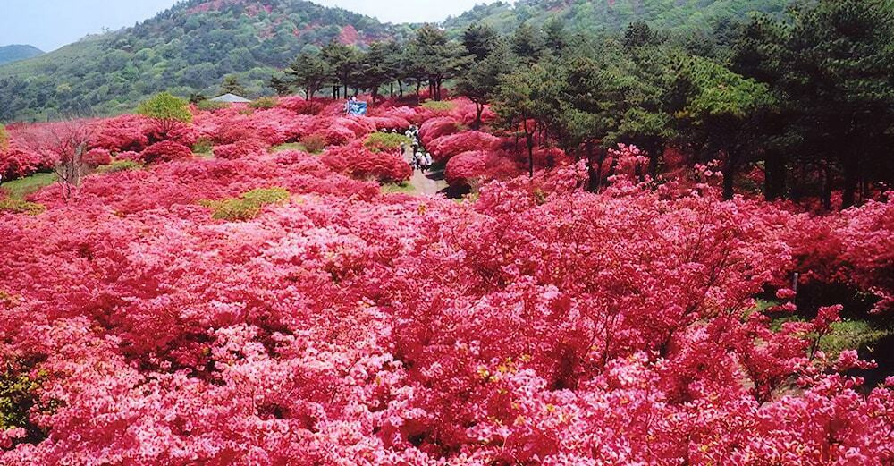 施設からの眺望