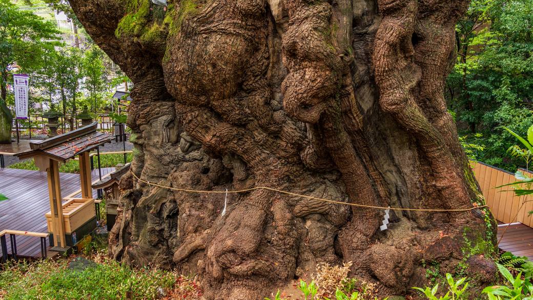 熱海のお隣
来宮駅に到着 / 3