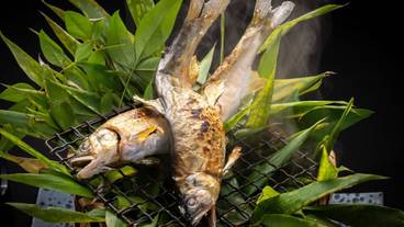 食事・飲み物 / 10