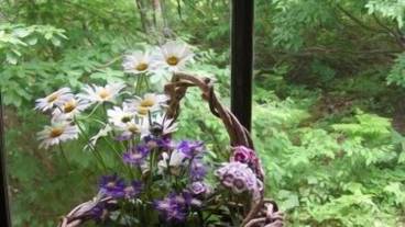 施設からの眺望 / 24