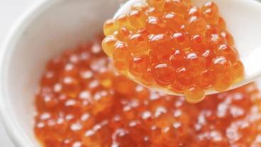 ビュッフェ / 34