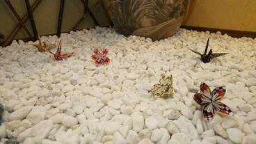 施設内の設備 / 5